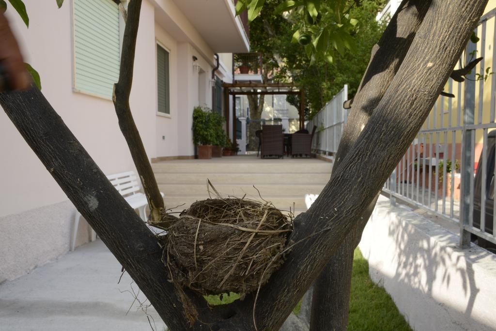 B&B Villa Degli Angeli Praia a Mare Luaran gambar